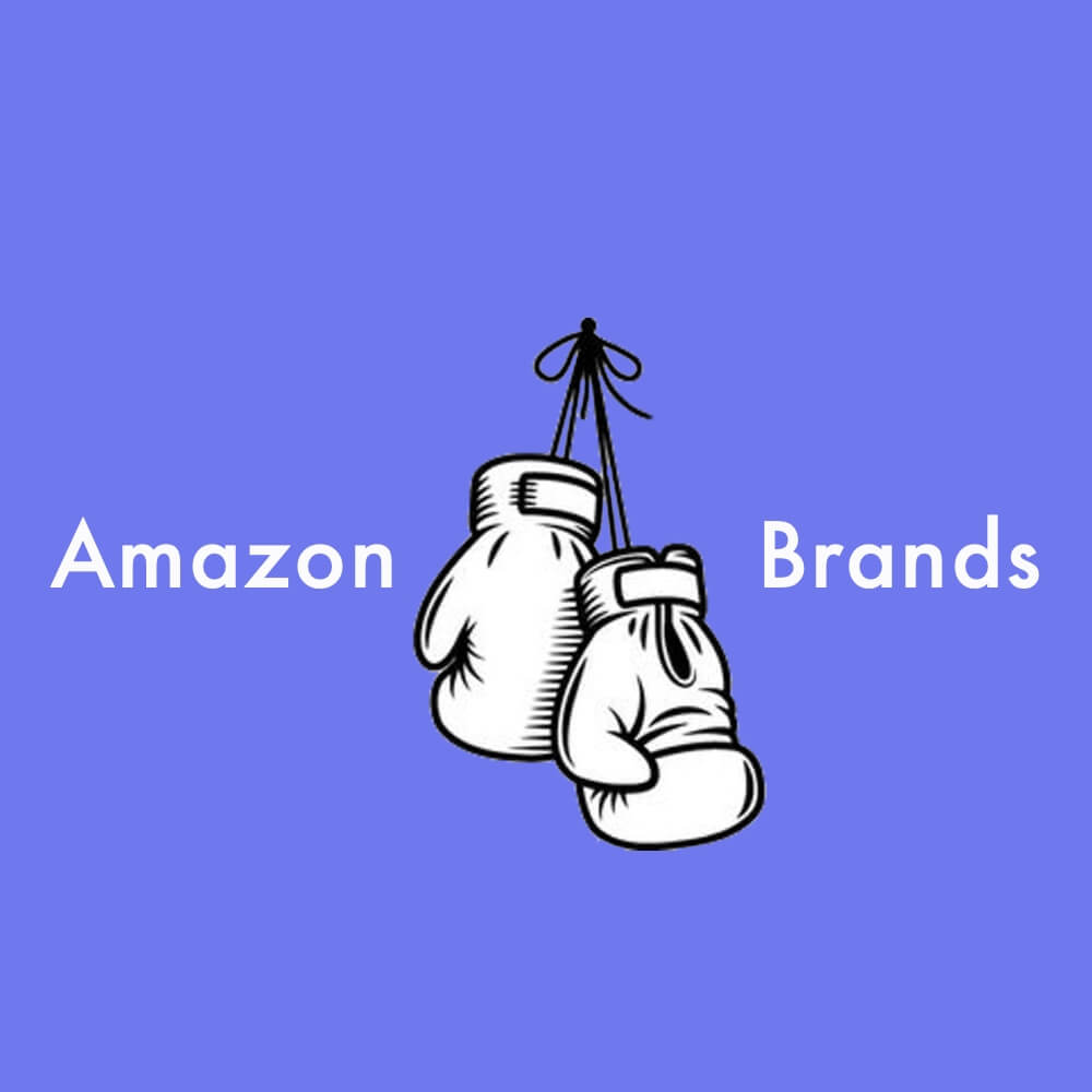 Amazon vs Brands