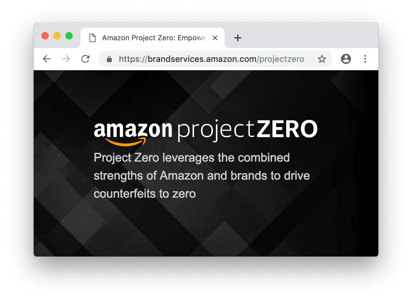 Amazon ProjectZero