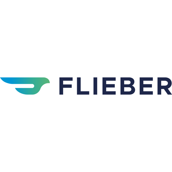 Flieber logo